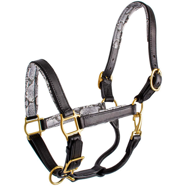 Quiet Creek Two Tone Padded Leather Halter - Prints